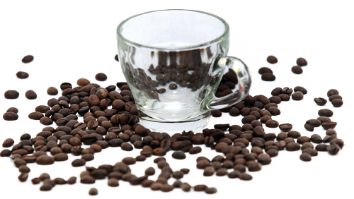 תמונת כיסוי של פרימיום קפה