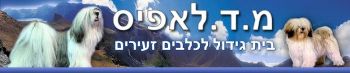 הלוגו של כלביית לאפיס