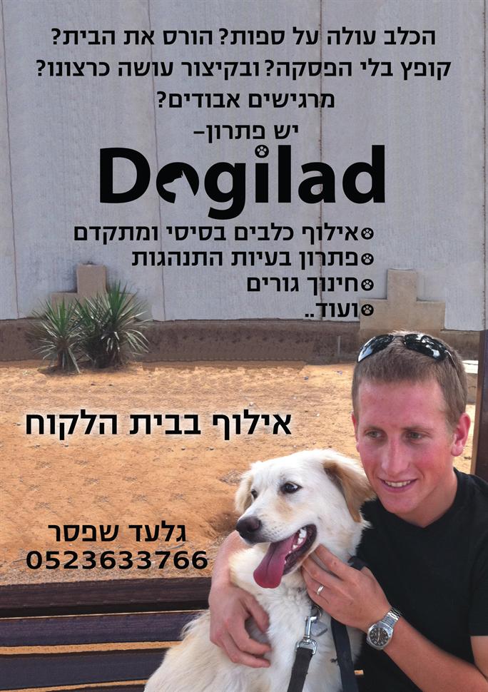 תמונת כיסוי של אילוף כלבים - Dogilad