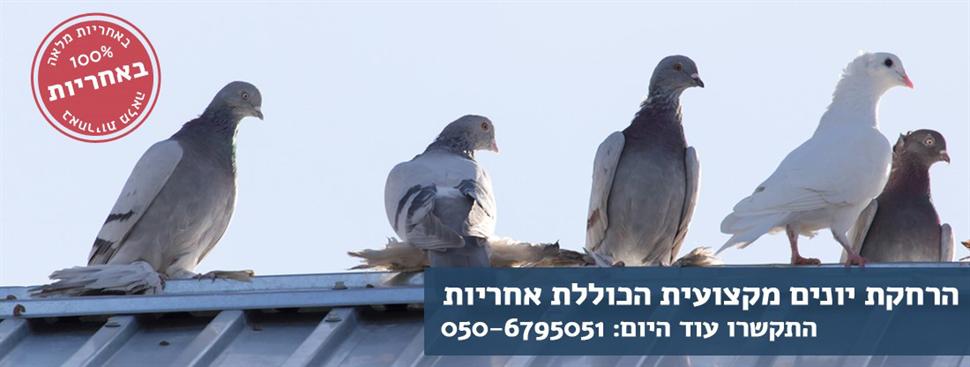 תמונת כיסוי של שוסטר הרחקת יונים 