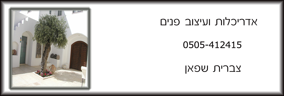 תמונת כיסוי של צברית שפאן - אדריכלות ועיצוב פנים