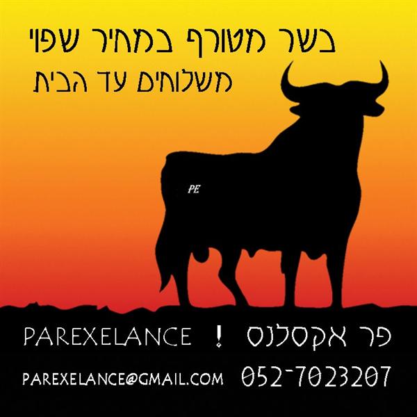 הלוגו של פר אקסלנס  ! Parexelance