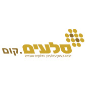 הלוגו של סלעים.קום