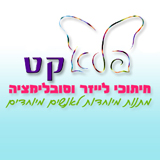 פלאקט-עבודות סובלימציה