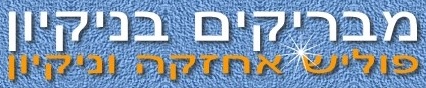 מביריקים בניקיון