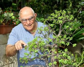 הלוגו של עציצים ממותגים, מארז שי, ישראל רף