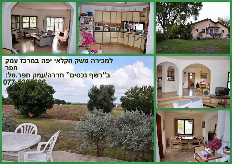 משקים חקלאים למכירה = www.newhome4u.co.il