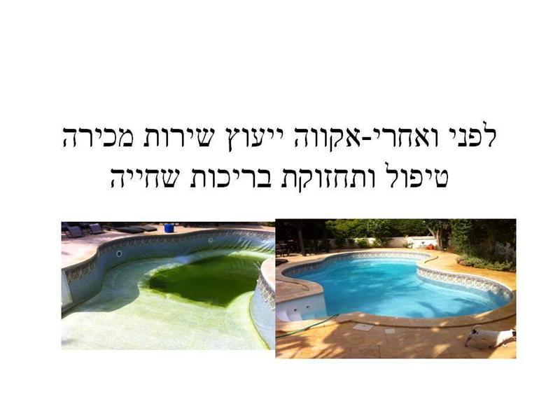 בריכה זו מתוחזקת על ידי אקווה שירות לבריכות שחייה swimming pool servisec