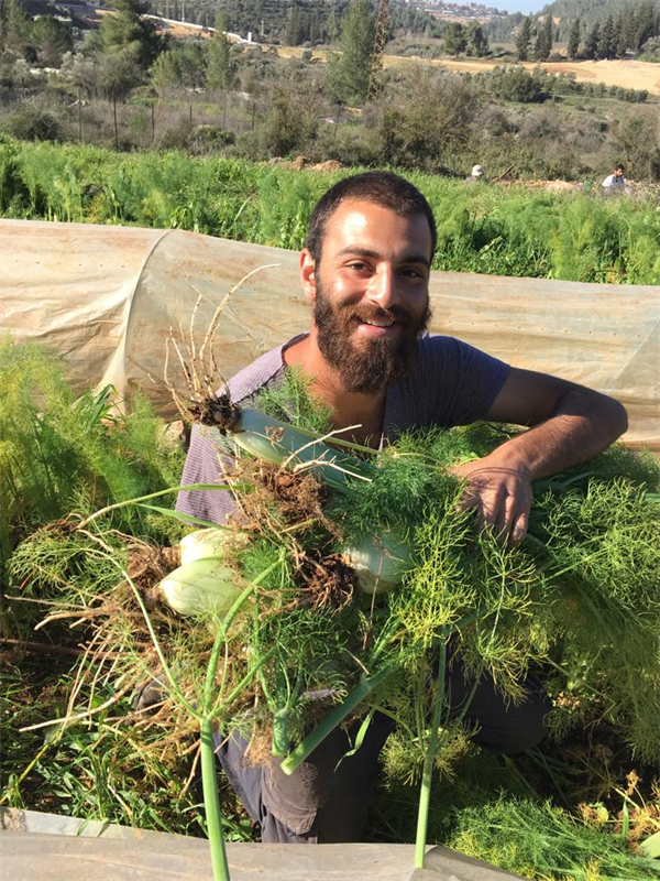 קטיף שומר בחוות קיימא 