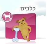 מזון לכלבים