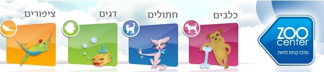 זו סנטר נס ציונה