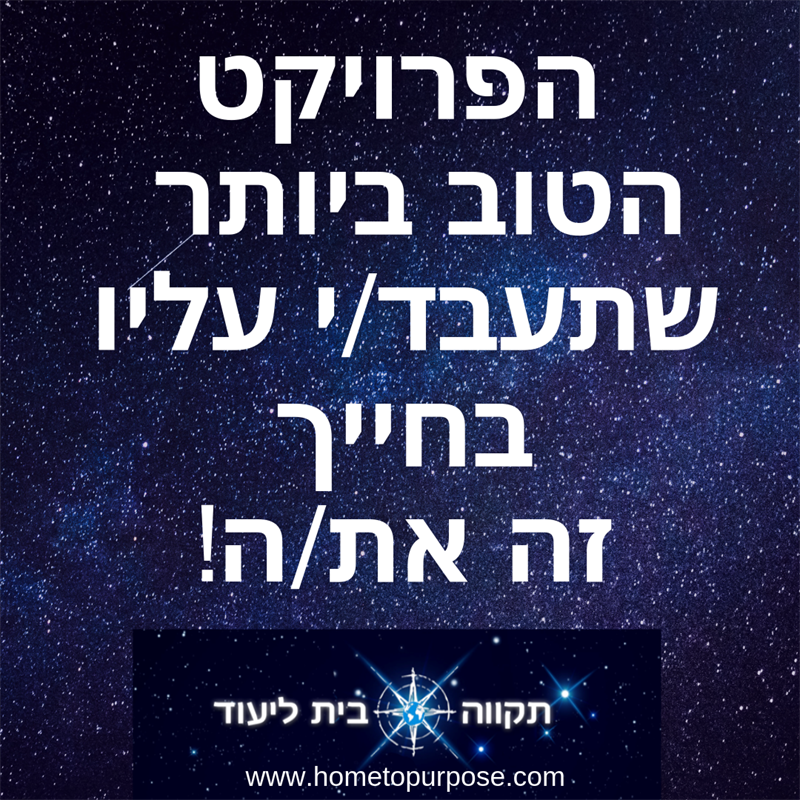 הפרויקט