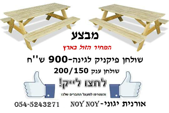 שולחנות פיקניק ענקיים-900 ש''ח