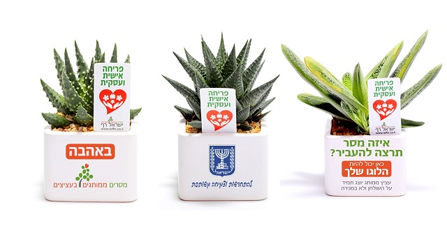 מתנות לטו בשבט,  הלהיט החדש  מסר של פריחה אישית ועסקית  לפריחה כלכלית בעסק שלך