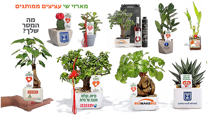 מתנות לטו בשבט, עציצים ממותגים, מארזי שי, לצמיחה ופריחה של העסק שלכם