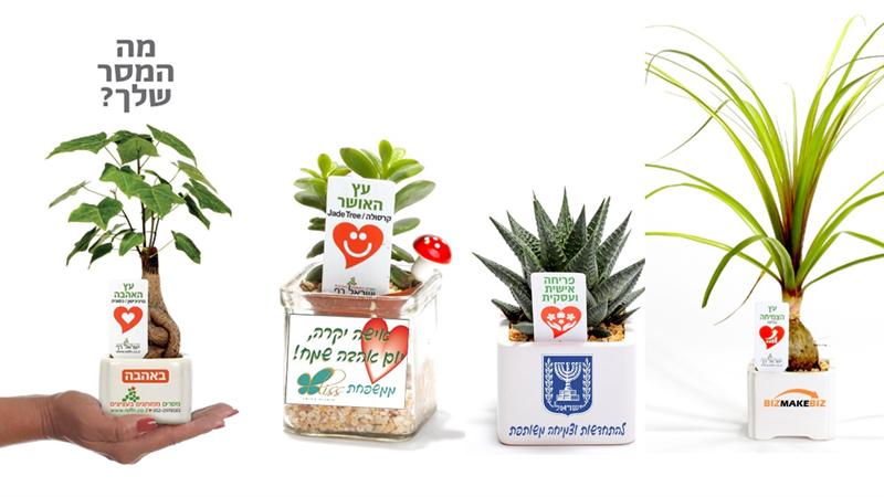 מתנה ממותגת לפסח, מסרים ממותגים בעציצים