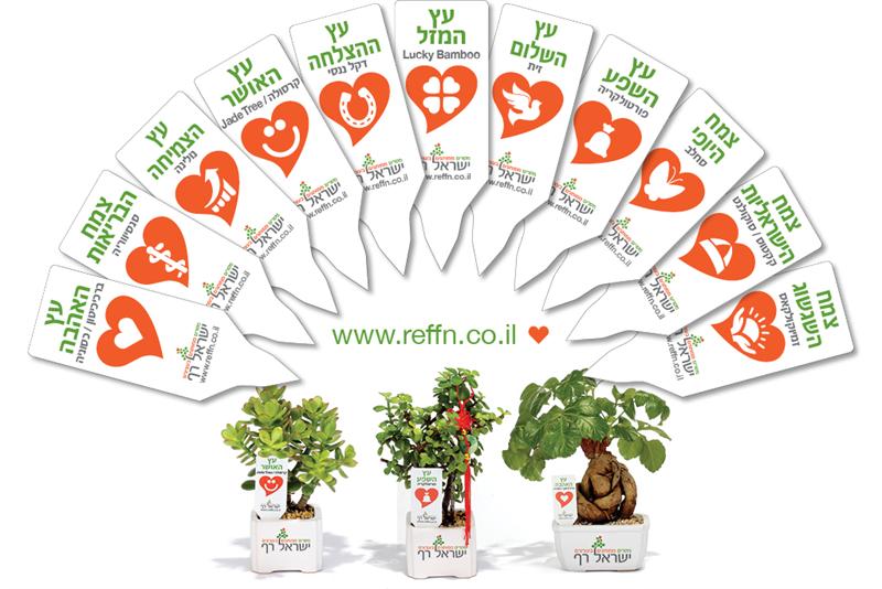 מתנות ממותגות לראש השנה, מסרים ממותגים בעציצים