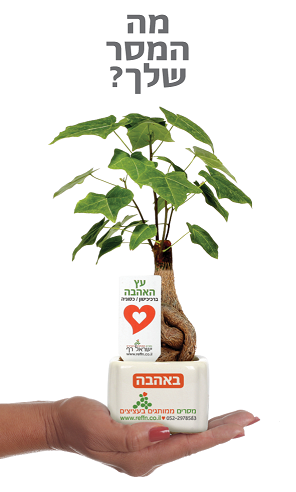 רוצים להצליח בכנס שלכם תנו עציצים ממותגים מתנה בטוח שיזכרו את הכנס שנים 
רבות