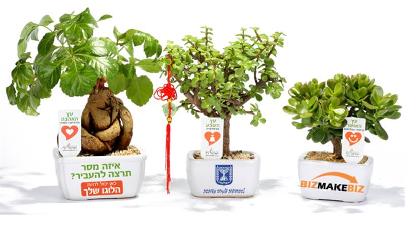 מוצרי הפרסום היעילים ביותר להבטחת תוצאות לטווח ארוך