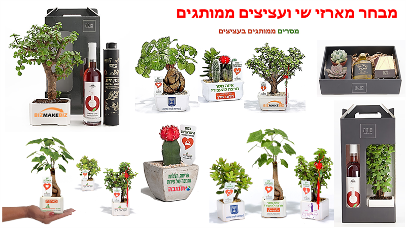 עציצים ממותגים, ומארזי שי, יעזרו לכם לחדש את הפעילות והקשרים עם העובדים והלקוחות