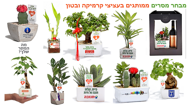מתנות לט"ו בשבט עציצים ממותגים, מארזי שי, יעמיקו את הקשר האישי והעסקי  עם העובדים והלקוחות