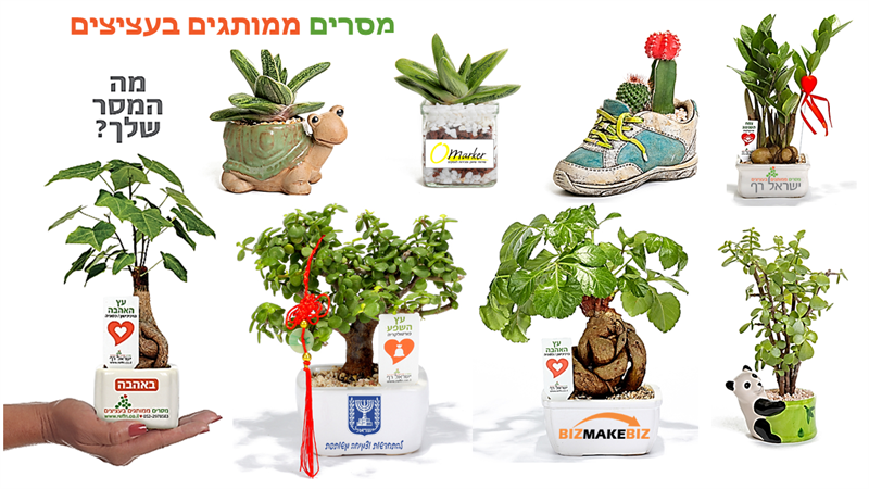 מתנות לפסח, עציצים ממותגים, ליצירת אווירה חיובית ולחזק את הקשר עם צוות העובדים והלקוחות