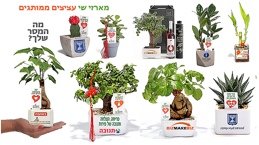 מארזי שי מתנות לראש השנה, בשילוב עציצים ממותגים עם מסר  אישי ממותג