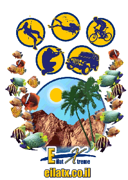 לוגו של אילת אקסטרים טיולי ג&#39;יפים ואופניים באילת