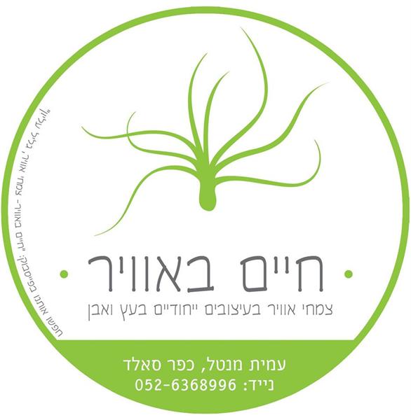 לוגו של חיים באוויר- צמחי אוויר מעוצבים