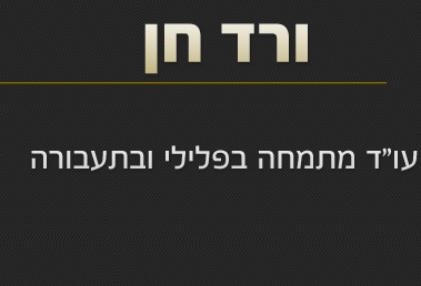 לוגו של עורך דין ורד חן