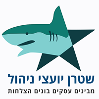 לוגו של שטרן יועצי ניהול