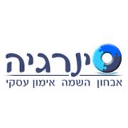 לוגו של סינרגיה - אימון עסקי למצוינות, אבחון והשמה