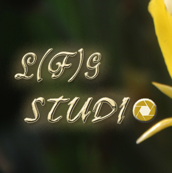 לוגו של LFG STUDIO / א.א. גרדנר