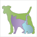 לוגו של מרפאת דוליטל לחיות מחמד